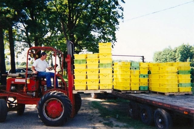 crossroadsblueberryfarm26