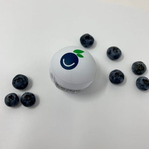 Blueberry Chapstick Eat Berry Smart Logo