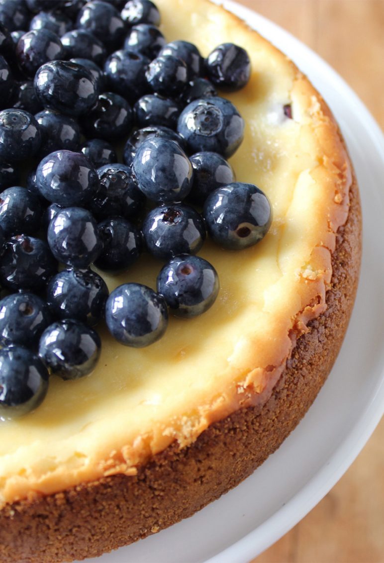 Blueberry Cheesecake Recipe